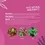 Thumbnail: Daily Senior Supplement