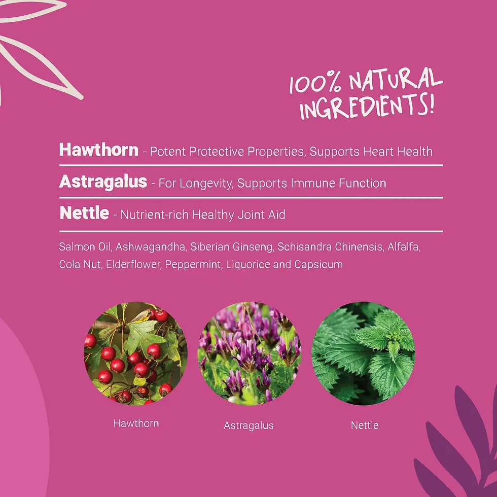 Thumbnail: Daily Senior Supplement