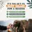 Thumbnail: Natural Scottish Salmon Oil