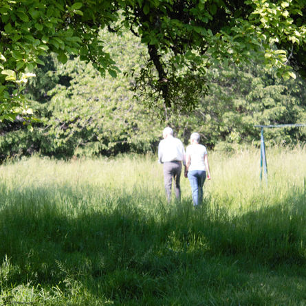 Klotzen nicht Kleckern