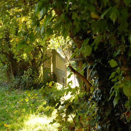 Offenes Gartentor in einem ruhigen Garten in der Haute-Saône, Frankreich, Einladung zur Langsamkeit