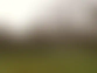Wie ich ChatGPT nutze, ohne meine eigene Stimme zu verlieren