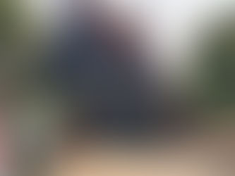 国民的芸術家の黒い家:バーンダム博物館