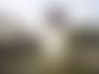 監獄跡の公園:ロマニナート公園