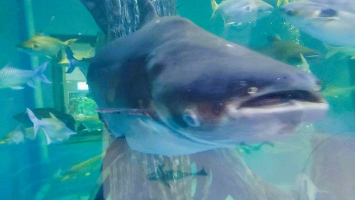 タイ旅行ブログ