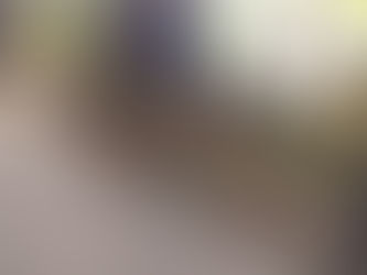 ニシキヘビ捕獲大作戦!!!