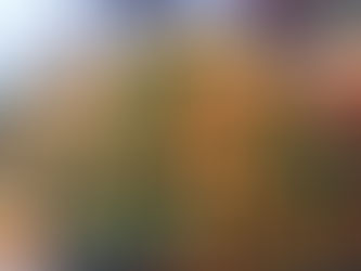 プラムマンゴー