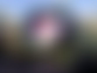 衣料品がいっぱいのショッピングモール:クルントンプラザ