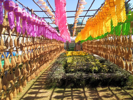 パヤオのフラワーフェスティバル!!!