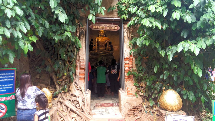 ガジュマルの木に飲み込まれた本堂：ワット バーンクン