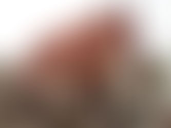 ワット クン サムット チン:砂に埋もれゆくお寺