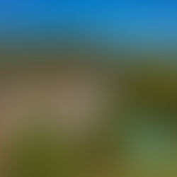 The Olive Mill - a Rurual Escapes Villa in Andalucia Spain