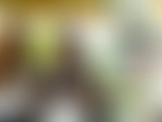Colégio ARBOS abre inscrições para Concurso de Bolsas com descontos de até 100% no Ensino Médio