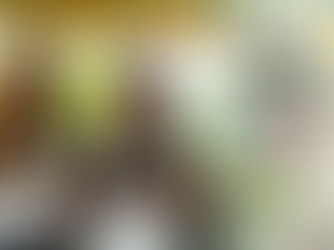 Colégio ARBOS abre inscrições para Concurso de Bolsas com descontos de até 100% no Ensino Médio