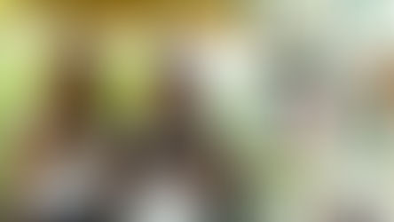 Colégio ARBOS abre inscrições para Concurso de Bolsas com descontos de até 100% no Ensino Médio