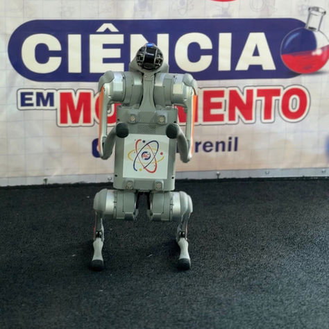 Ciência em movimento encanta e transforma conhecimento em arte no Colégio Renil