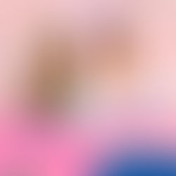 Priscila Faria assume o PL Mulher de Mauá : honra, valores e compromisso de lutar pelas mulheres mauaenses