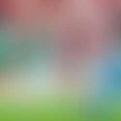 Erros de arbitragem marcam derrota do Palmeiras para o Flamengo no Maracanã : 3x2. 