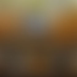 Câmara de Santo André debate segurança, saúde, mobilidade urbana e meio ambiente em sessão ordinária