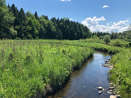 Hiking through a Pandemic