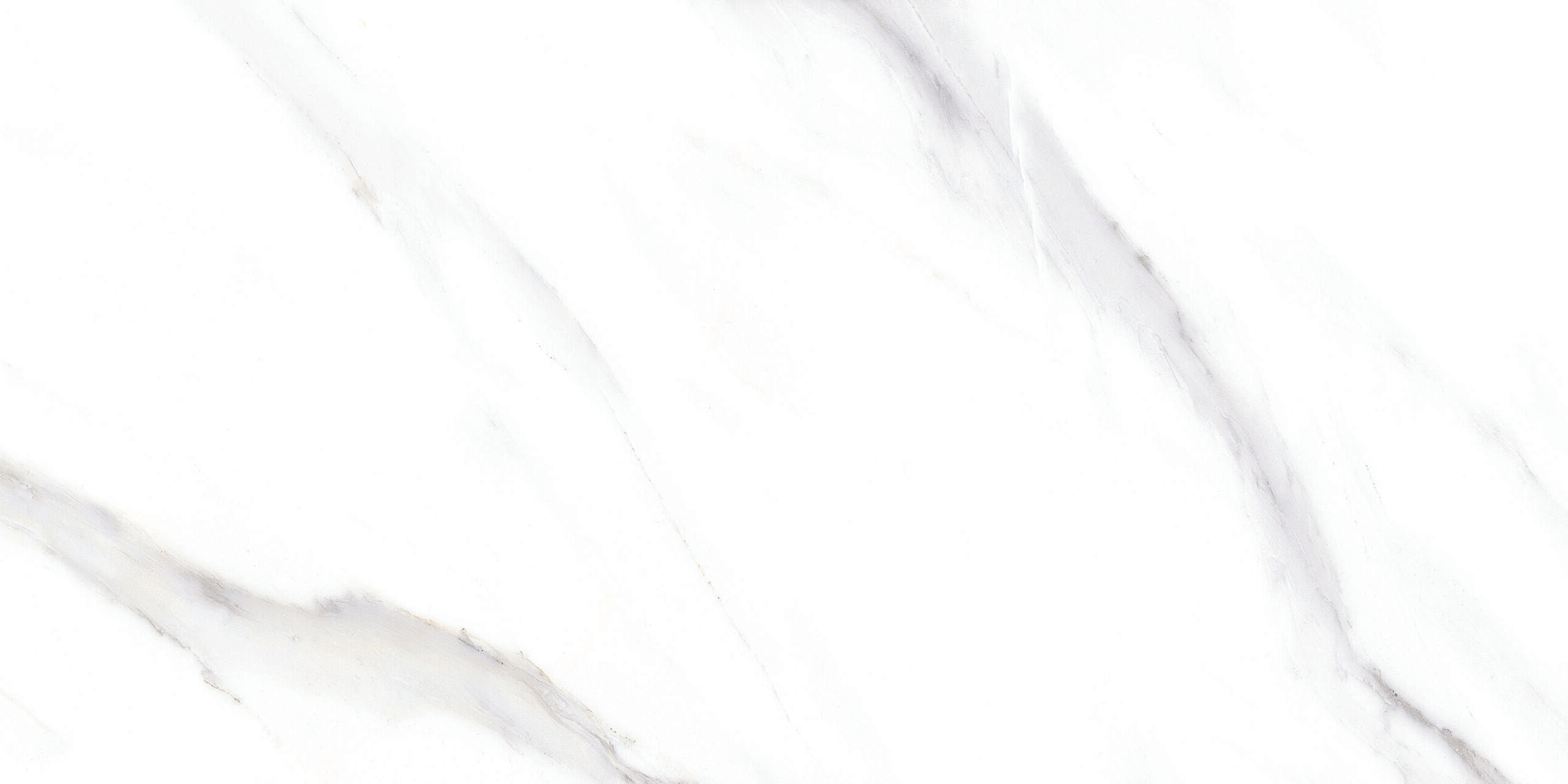 12 x 24 Porcelain Tile Color Statuario Nuvo