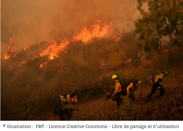 Los Angeles en proie aux flammes