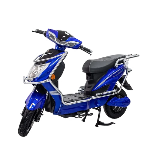 Electric Scooter Fly Ebike FLY EBIKE Power Supply Battery Charger