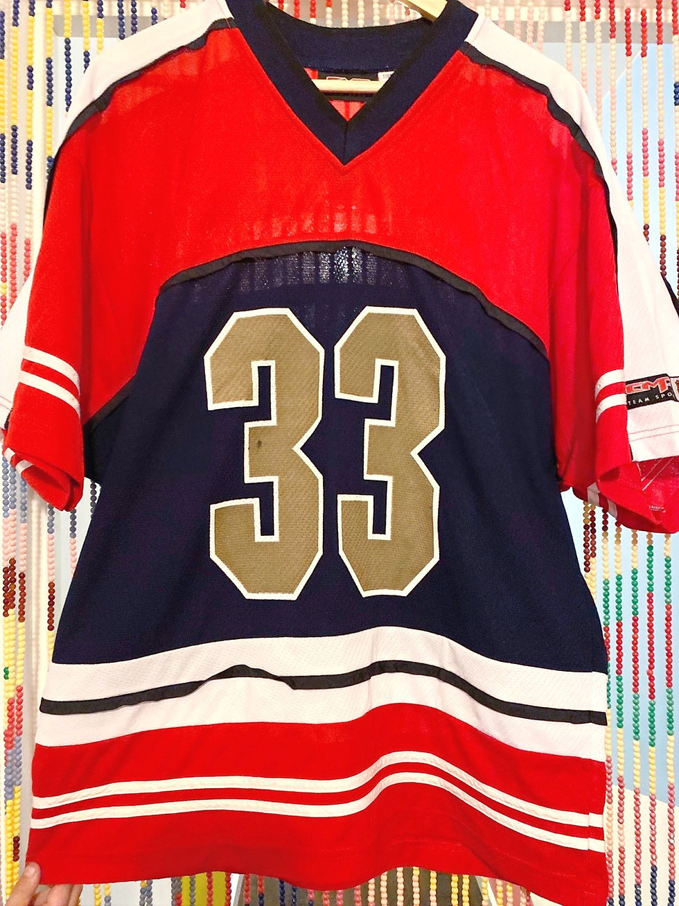 Thumbnail: NHL Florida Panthers Hockey Jersey  Team Logo full front patch  Size X-Large