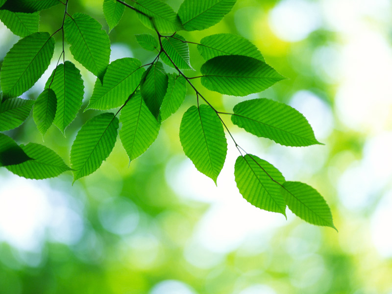blog-beacon-of-light-0316