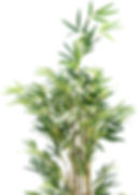 top_main_0006_home2.jpg