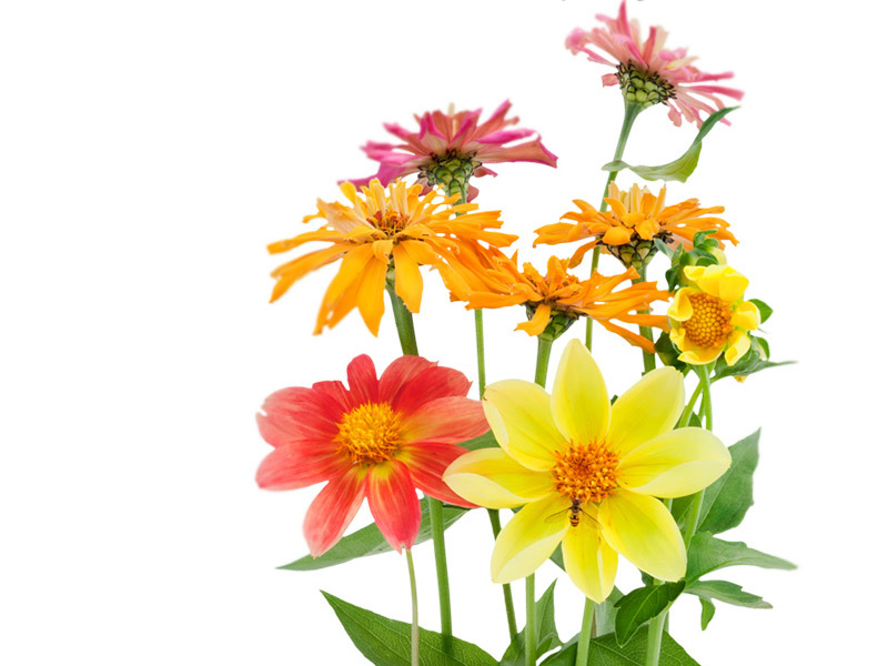 blog-newprograms-0516