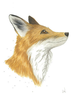 Fox_edited.jpg