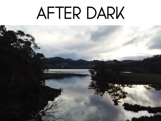 After Dark - Halcyon