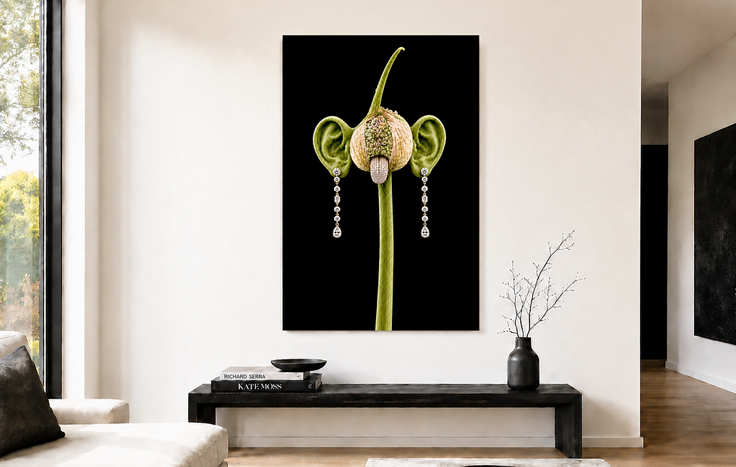 Hanging Earrings Wall.png