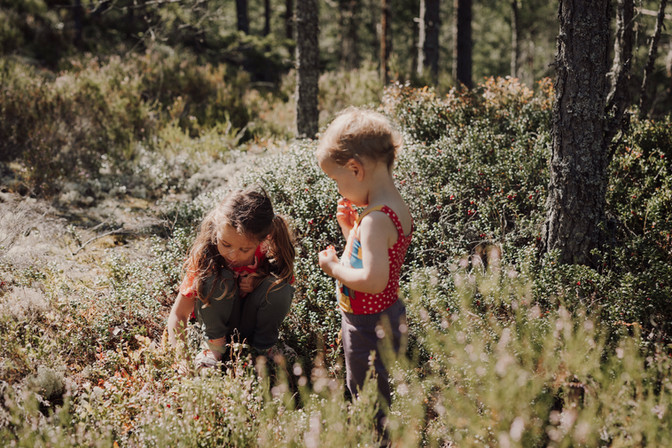 Schwestern beim Blaubeerpflücken im Wald