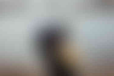 Familie in der Natur