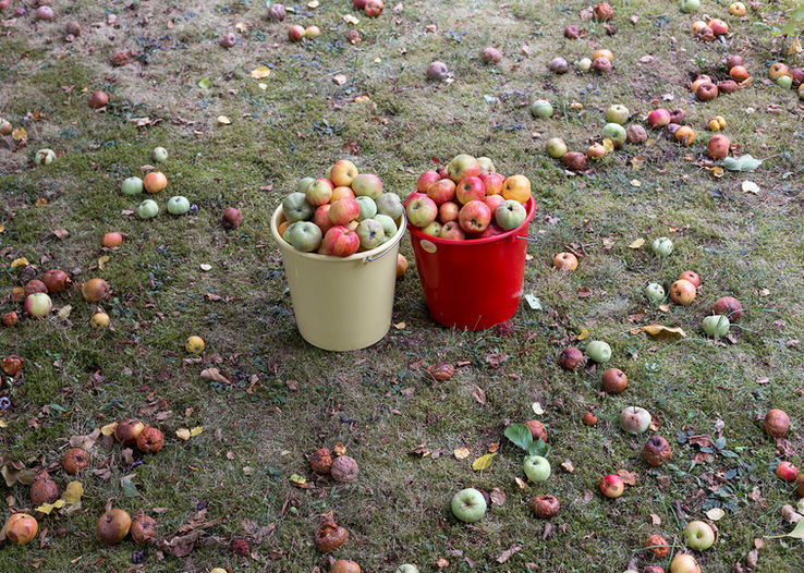 Zwei Eimer mit Äpfeln