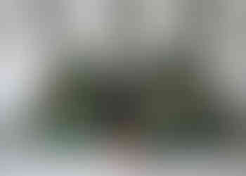 Selbstportrait zwischen dem Sofa