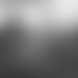 The Empowered Herd: The Story of Paris