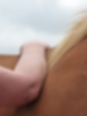 Touch 2.PNG