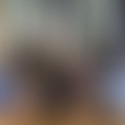 Expert Coaching for Our Gymnasts