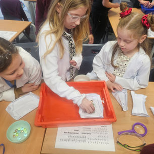 Science Day Investigations!