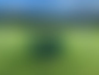 Elston V Perry Hall