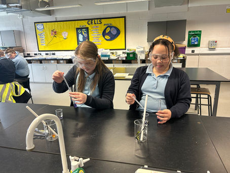 Harry Potter Chemistry Lesson