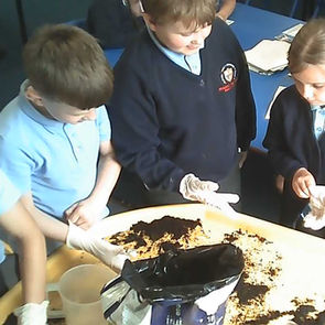 Science Week Fun!