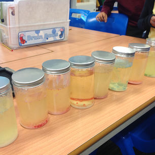 Lava Lamp Magic at Science Club