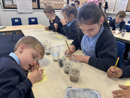 Year 3 Rock Detectives!