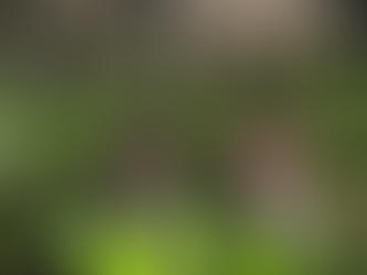 Reception’s Roaring Day Out!