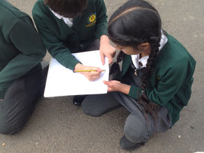 Year 2 Fieldwork