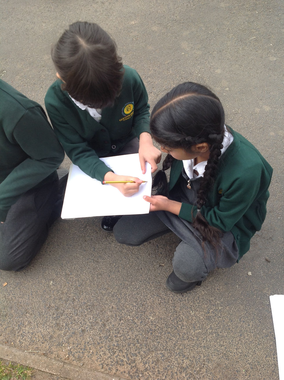 Year 2 Fieldwork